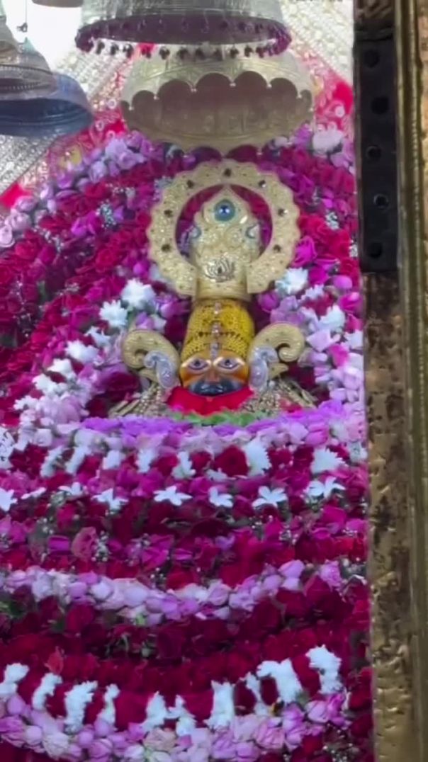 ankit_sanatani2024-20260122-0001