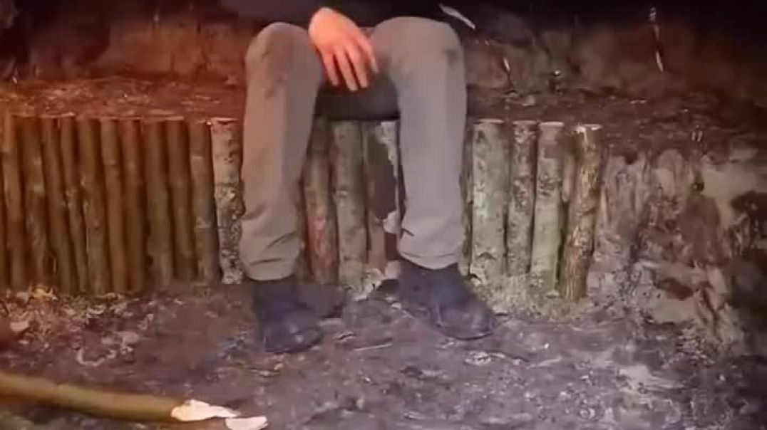 ⁣100 Days Solo Bushcraft, Survival & Building a Treehouse in the Rainforest #timberborn