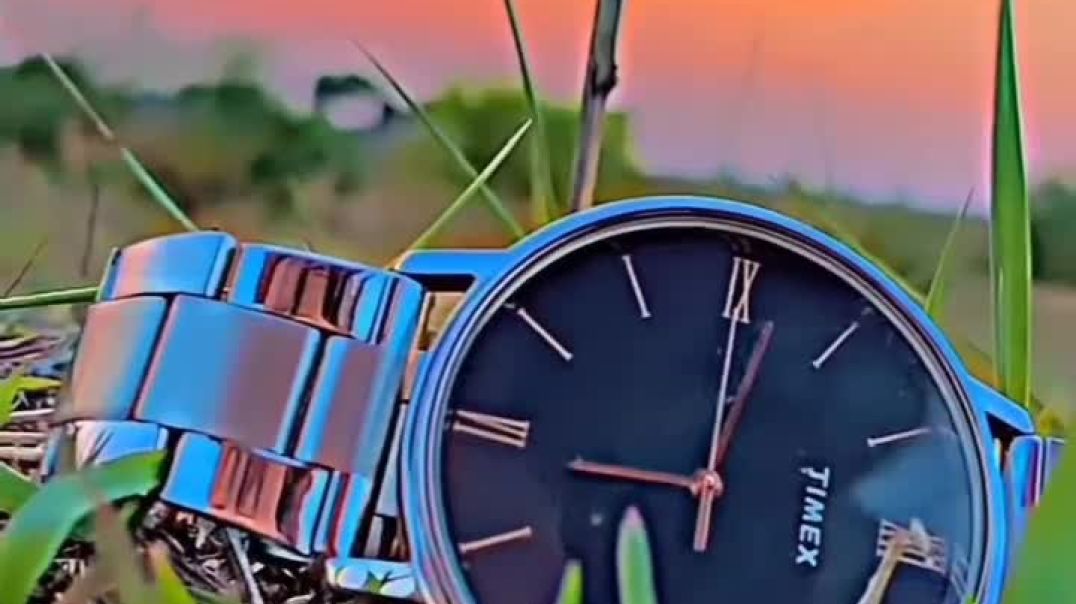 ⁣Stunning_Sunset_Watch(360P)