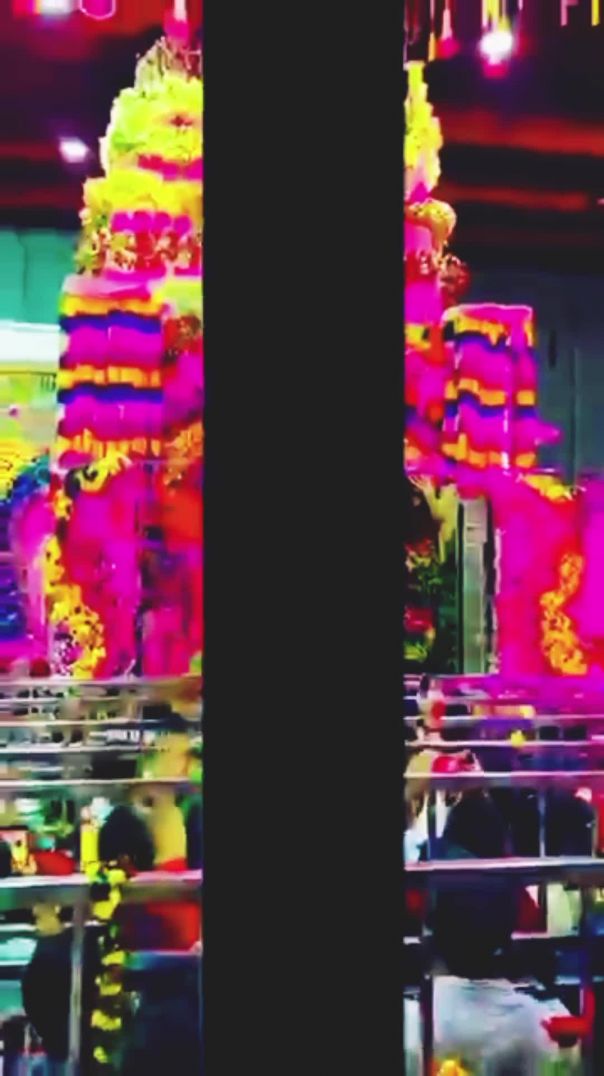 InShot_20260130_125423278