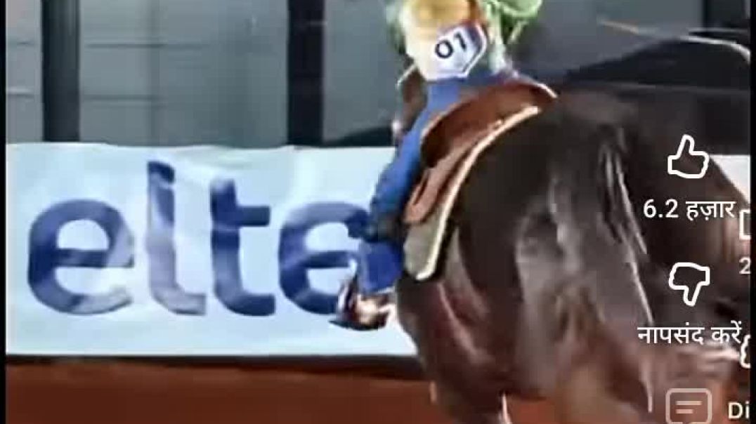 ⁣घोड़े की सवारी