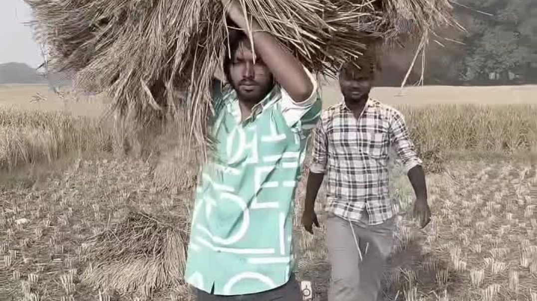 instagram_1767849814239