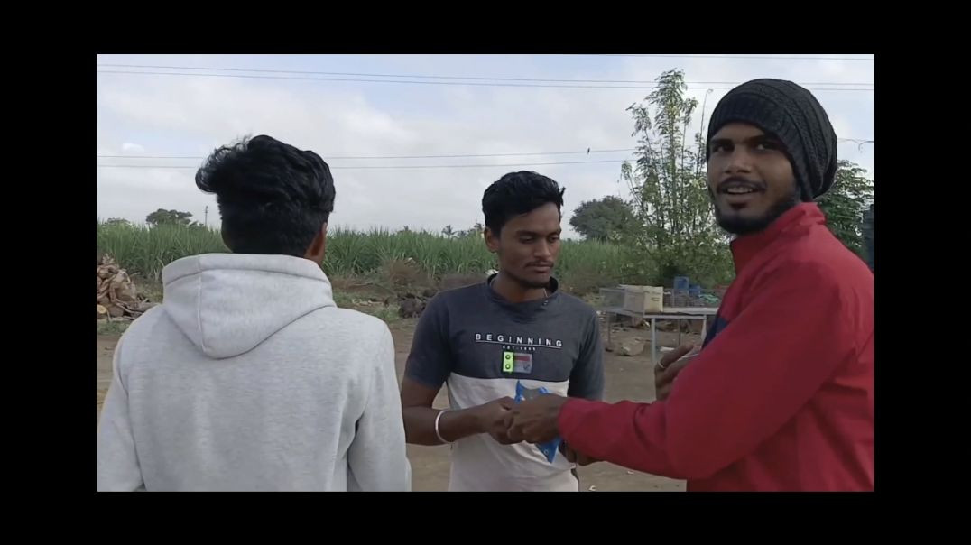 ⁣Softball matches 🧐