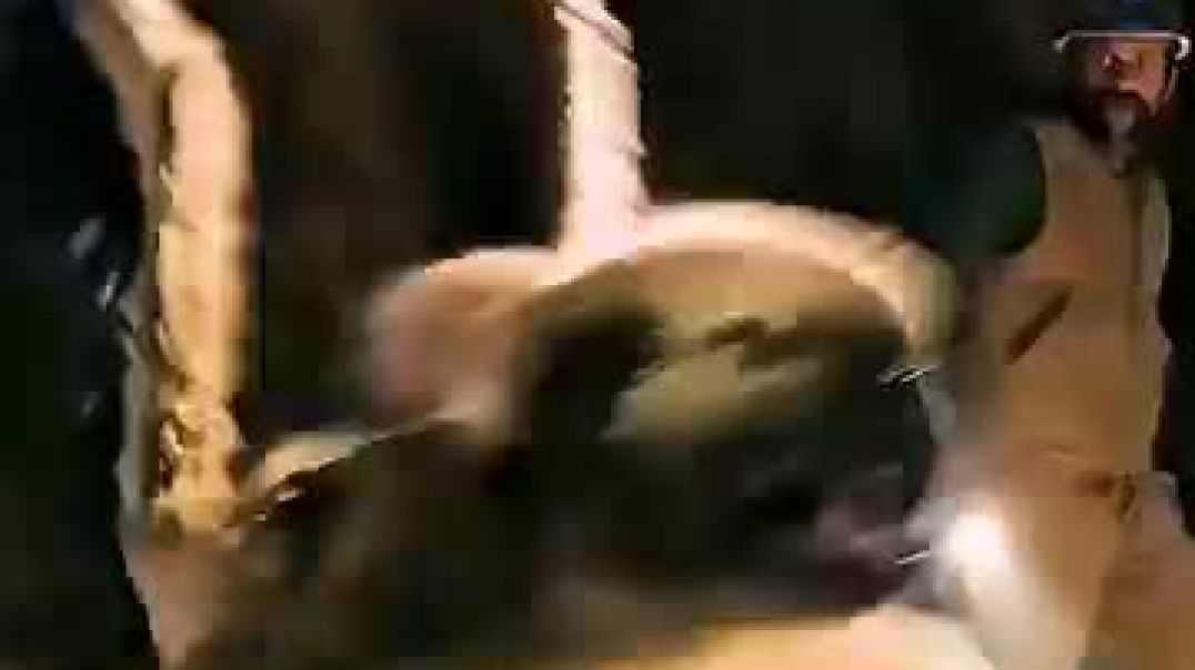 ⁣शिकारी को मिला उड़ने वाला शेर #shorts#filmy#filmystory#cinematic #storytelling