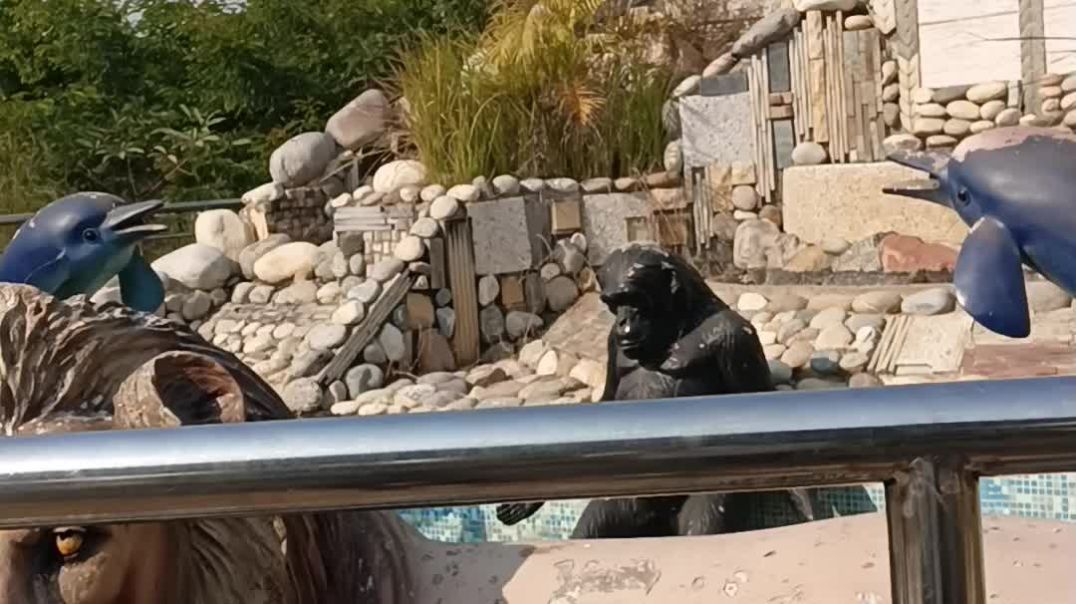 ⁣भगवान बुद्ध की मनमोहक प्रतिमा