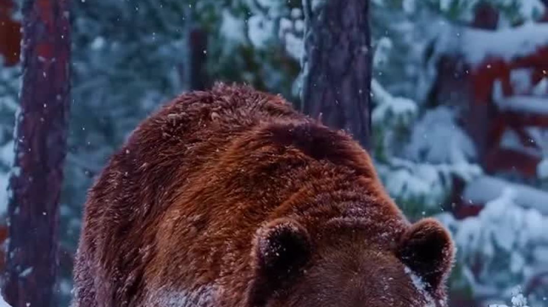 यह कोन हे