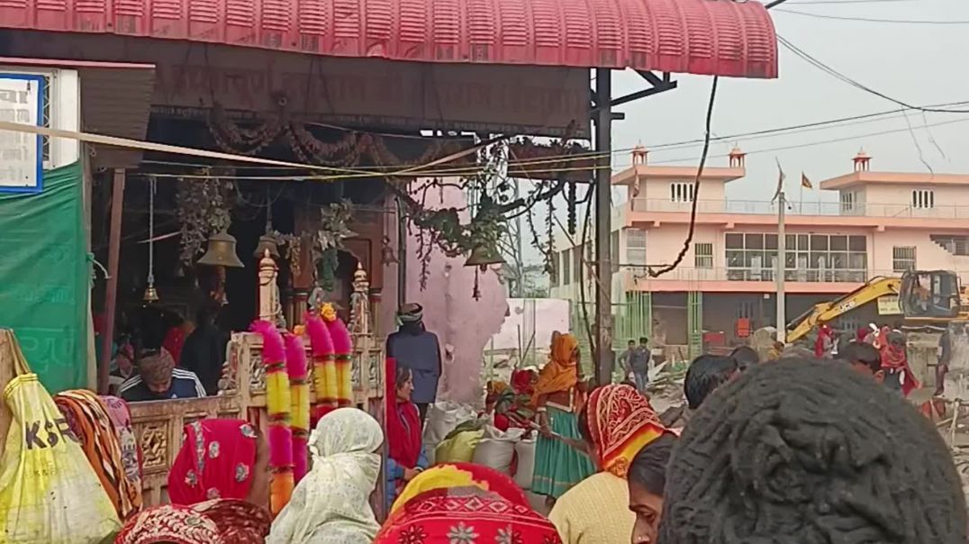 video_20260131_120225_edit