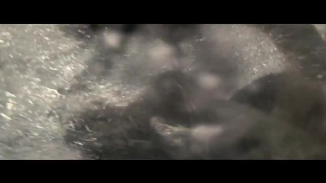 ⁣Hollywood best action Scene   __ Tomb Raider  Movie __ latest Hollywood action movie 2019(720P_HD)