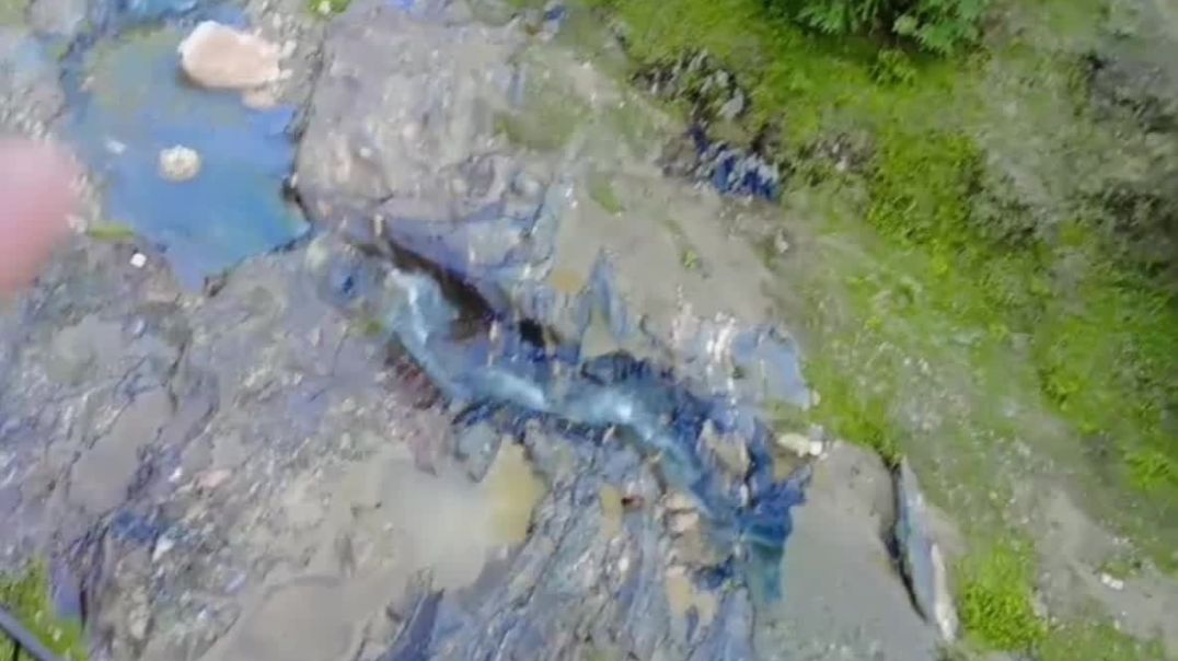 जागेश्वर धाम महादेव _ सच में जन्नत  #महाकाल #jageshwar #trip