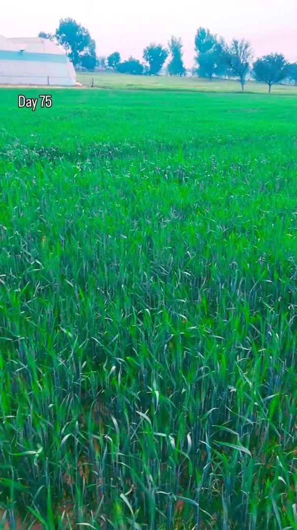 instagram_1769519990421(720p)