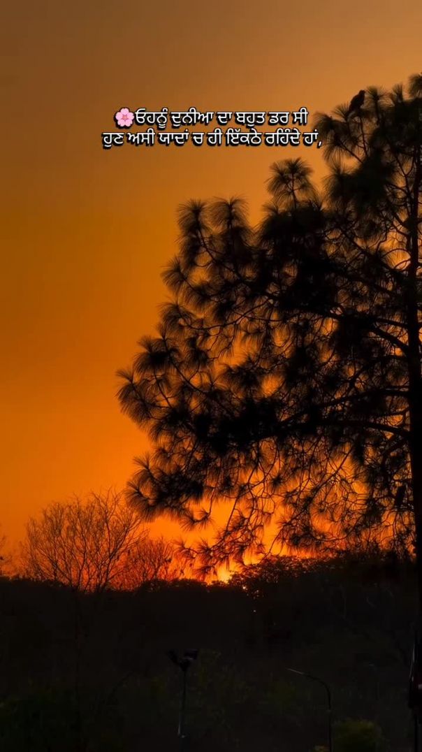 🌸ਵਿੱਛੜ ਗਈ #reels #status