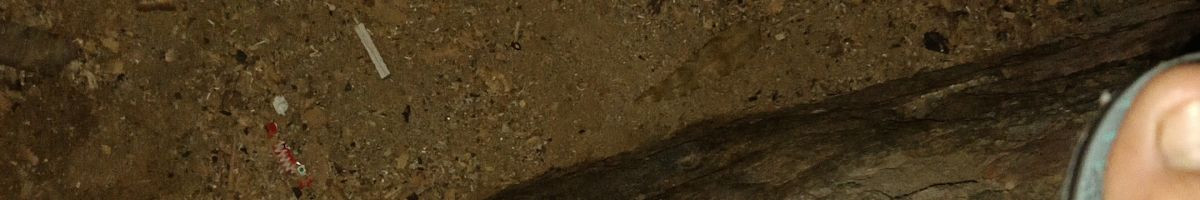 102920874805145566587 