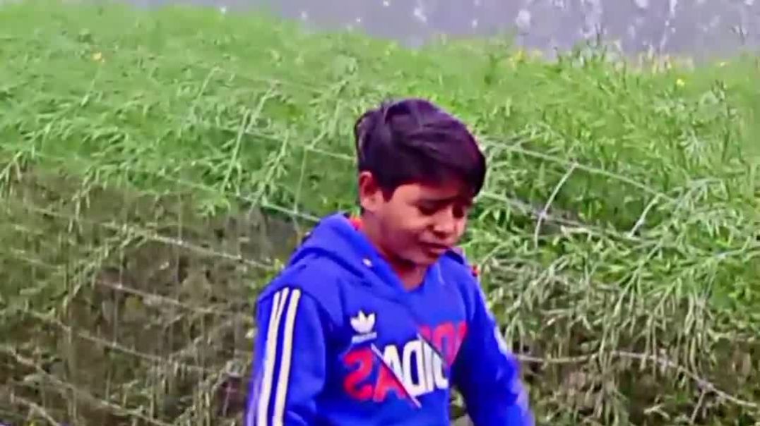 VID_20260102_033453_348