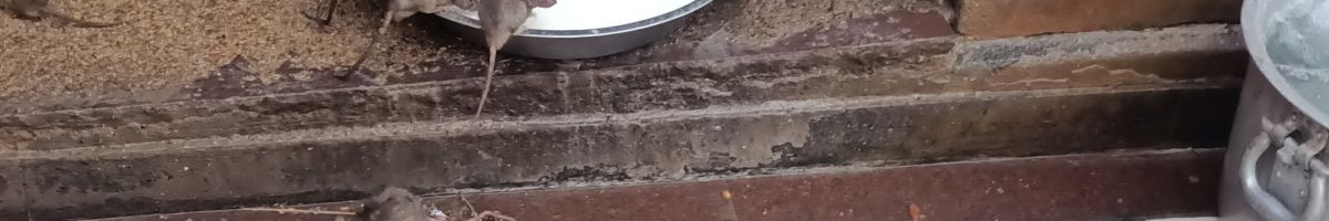 118075655602950646952 