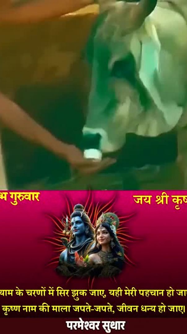 crafto_video_1769663744902