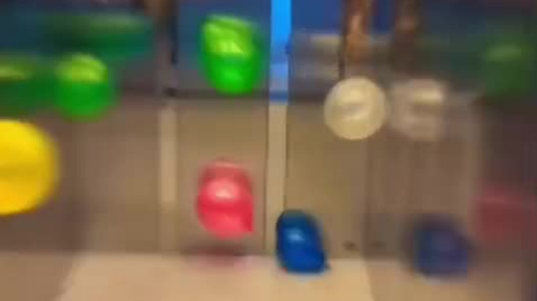 ⁣VID-20260101-WA0011