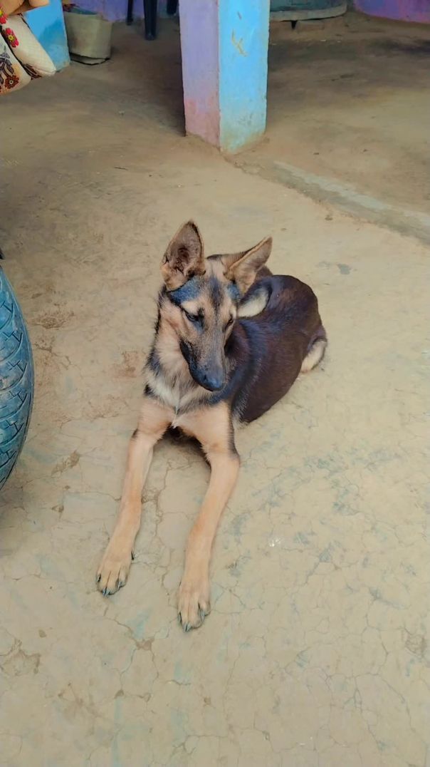 VID_20251221_205509_230