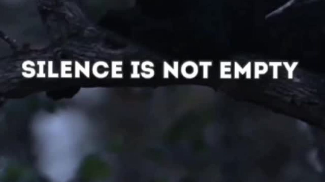 ⁣Motivational quotes