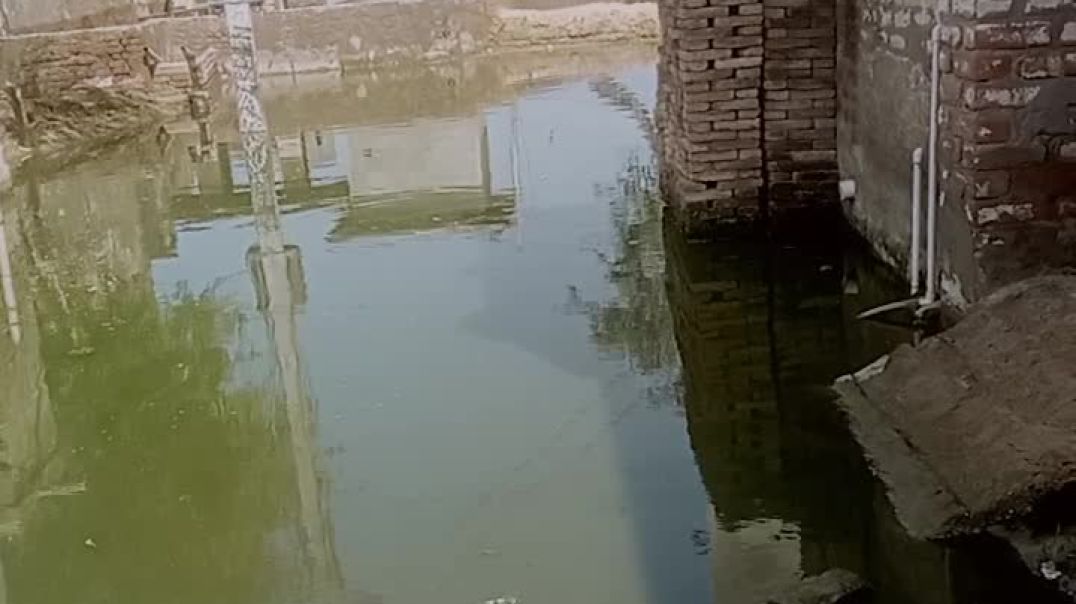 ⁣Kulana village me baadh ka pani or sarkari sahayta abhi bhi nahi mili teen month bad bhi