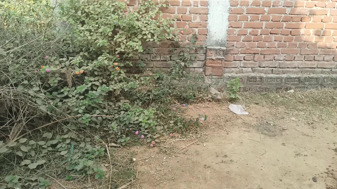 ⁣सुबह के time video viral केसे करें 2026