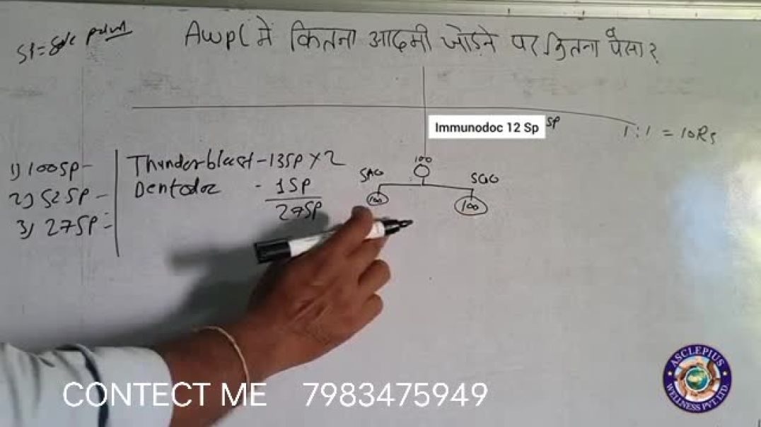 ⁣AWPL BUSINESS PLAN