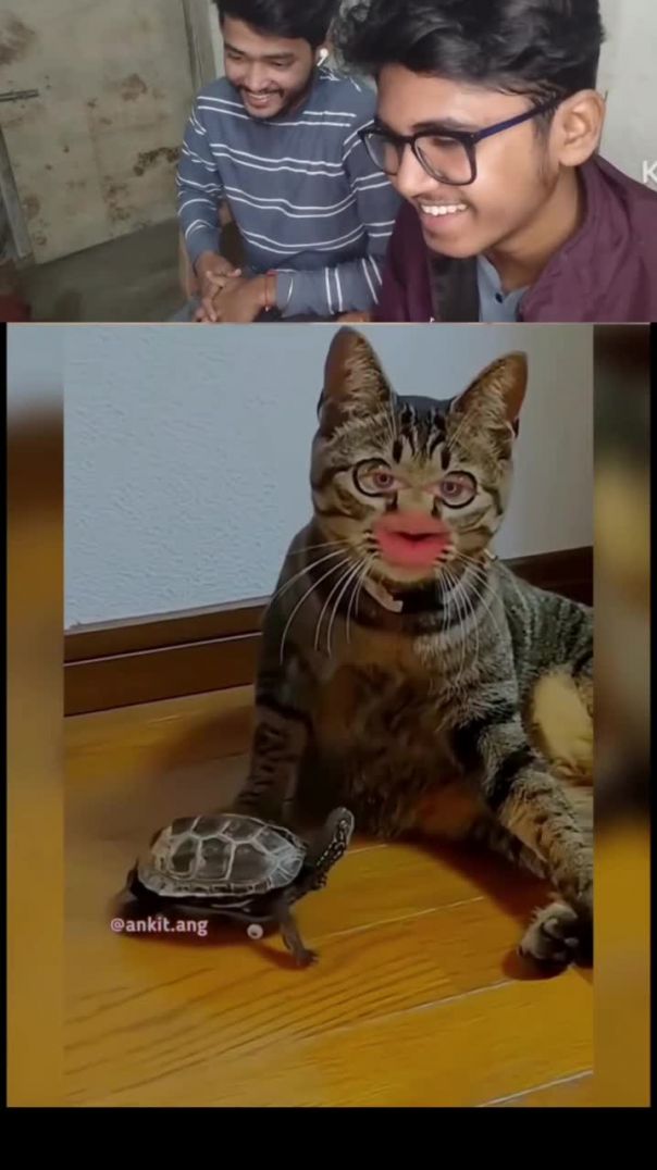 Cat_funny_reaction_🤣#trending_#funnyreelsvideo_#funny_#comedy_#reels