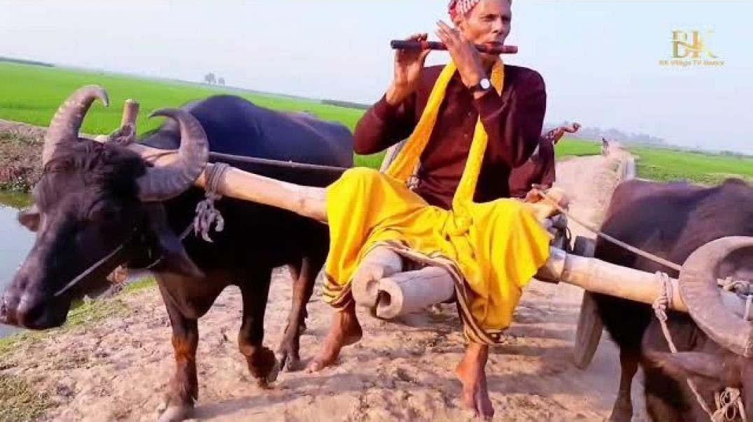 ⁣जय गौ माता जय गोपाल । #jay Gau Mata Jay Gopal#rajuda