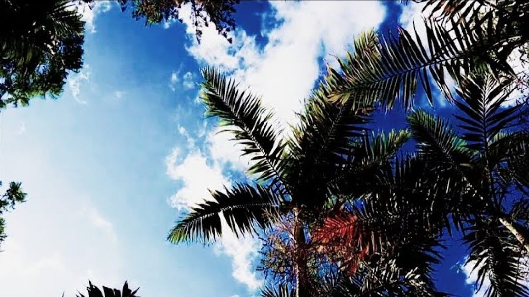 ⁣Soothing Christmas Music for Relaxing