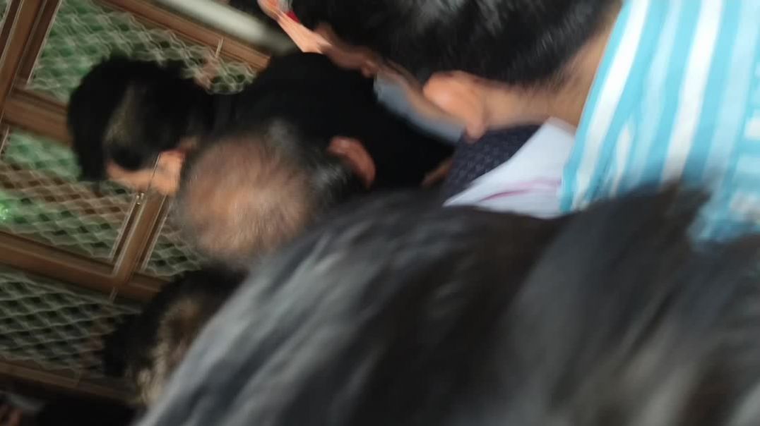 ⁣Bageshwar Dham wale aye kotwan👍❤️