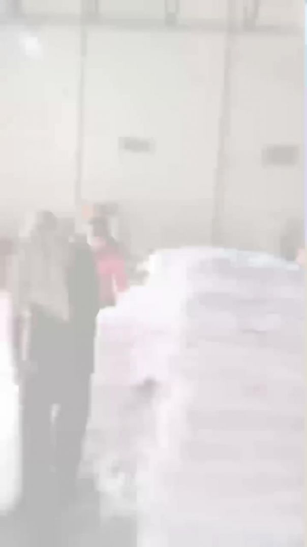 FB_VID_2495886884876541524