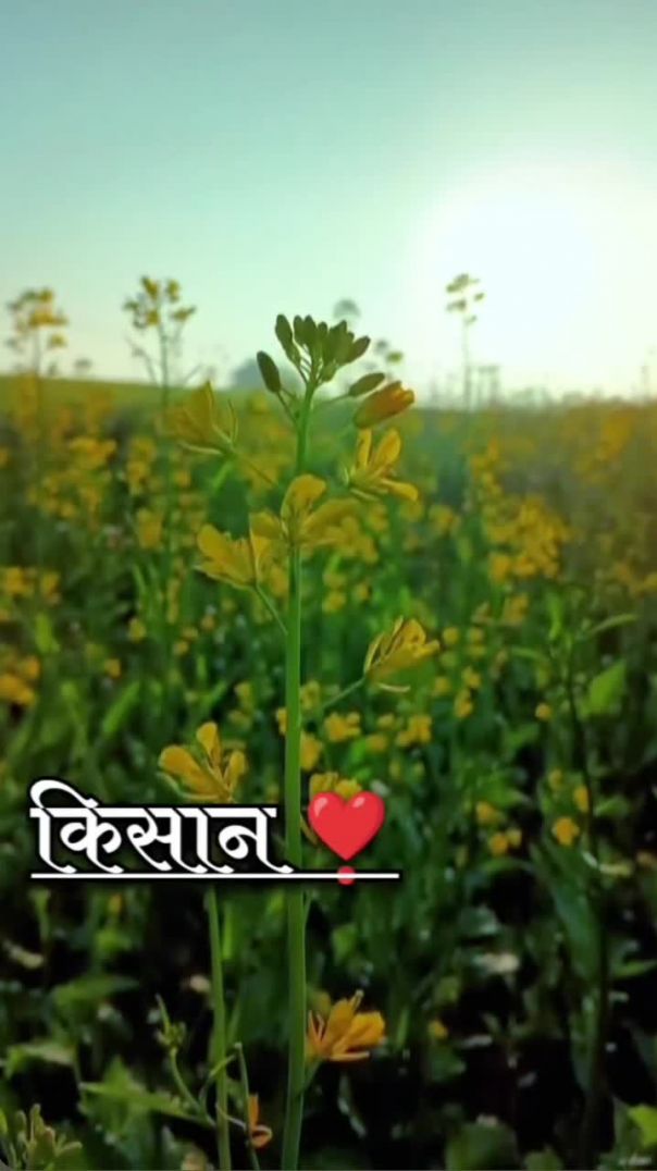 VID_20250106_234232_061