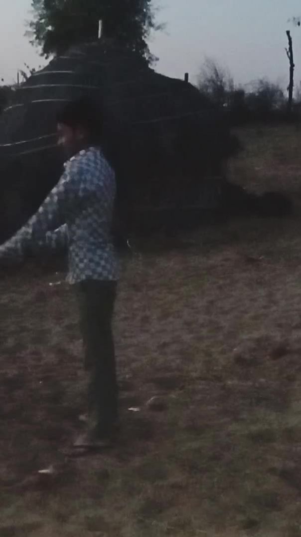 दुध गा दे