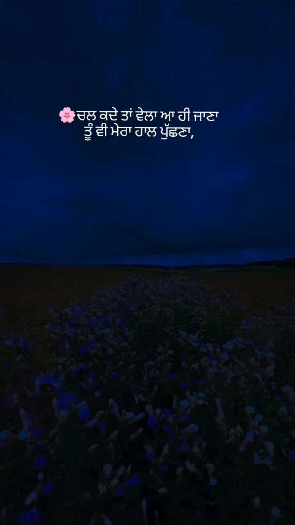 🌸 ਕਦੇ ਤਾਂ #reels #shayari #punjab