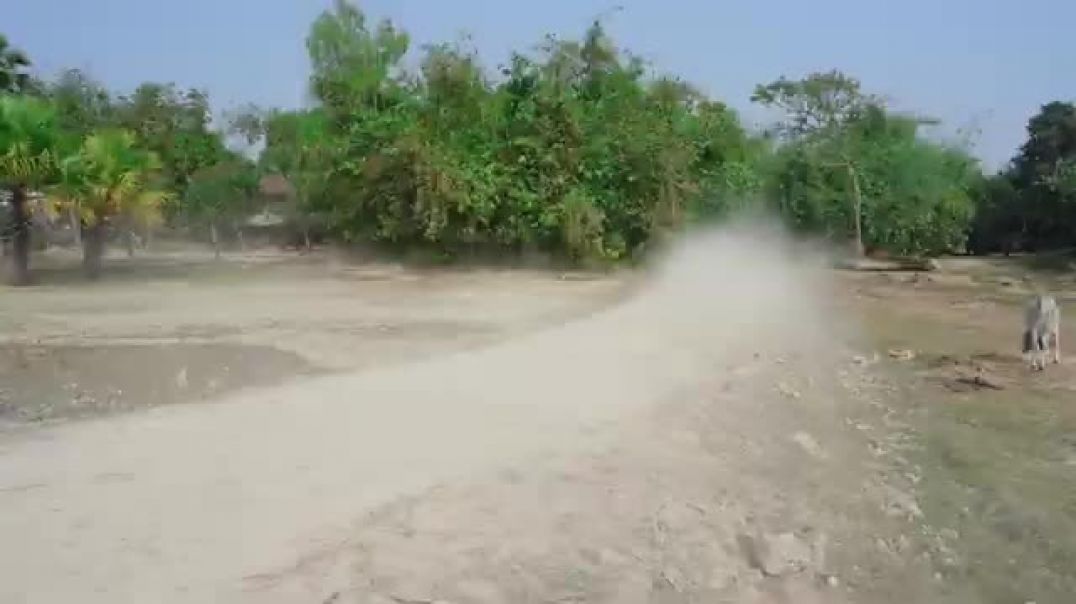 video_20260130_125625_edit