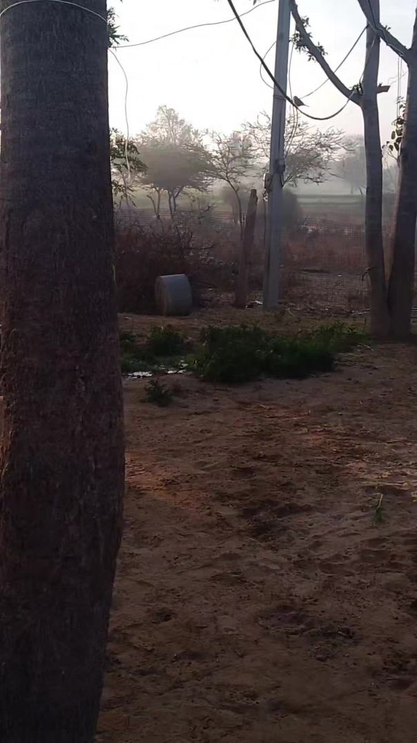 VID_20260129_183611_973_bsl