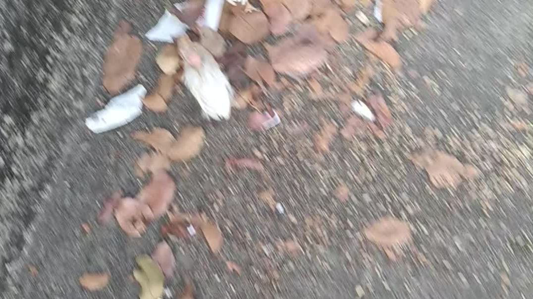 ⁣Murgika baccha murgi ka baccha my first film