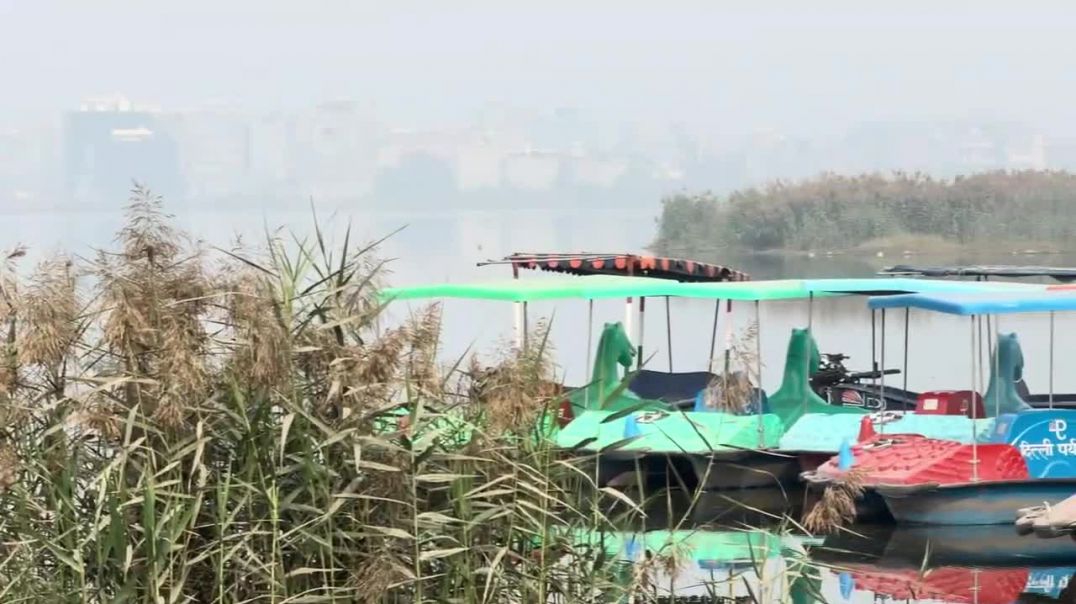 Bhalaswa Lake, Delhi