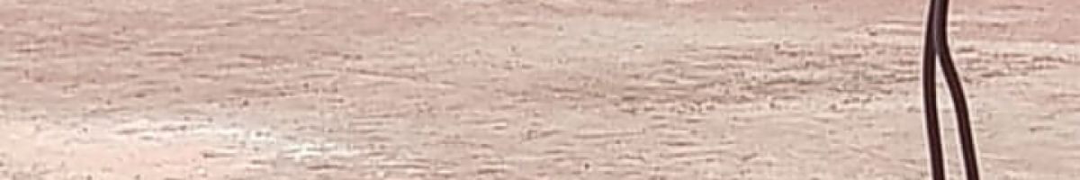 pradeepdudi92