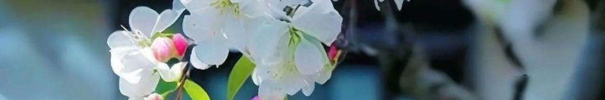 114059869416193139935 