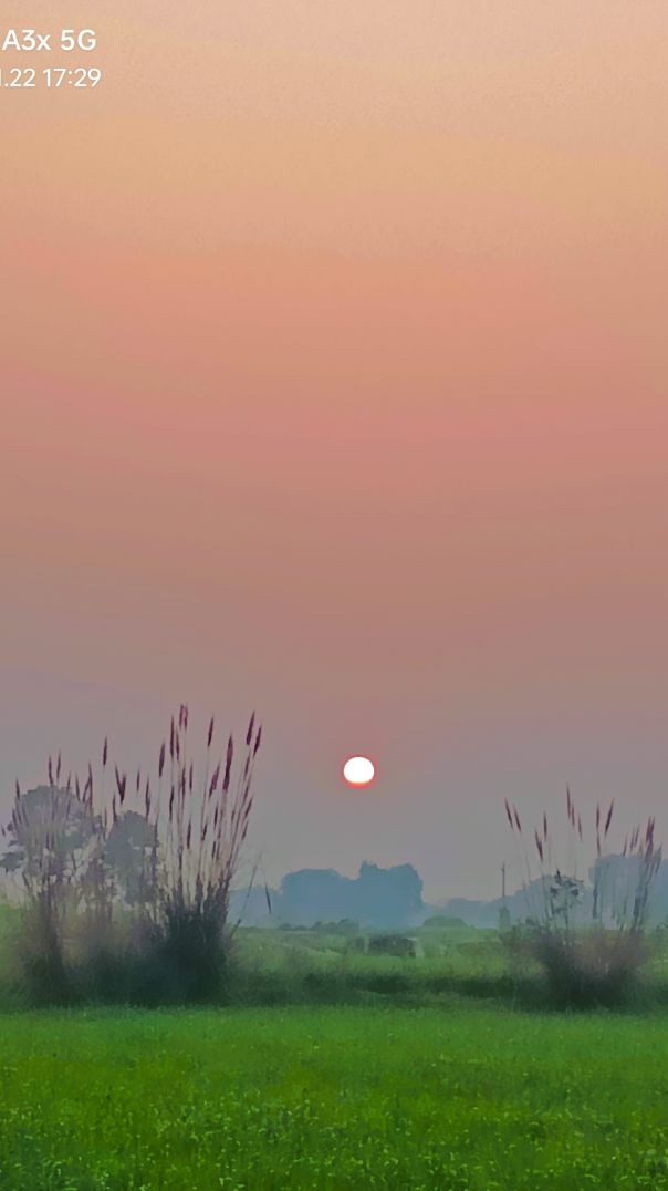 APeaceful Walk With My Friend Towards the Banyan Tree 🌳 Exploring the Banyan Tree With My Best Frien