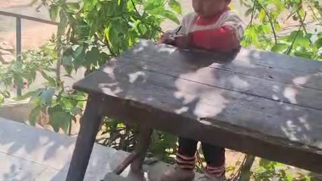 ⁣VID-20260101-WA0017