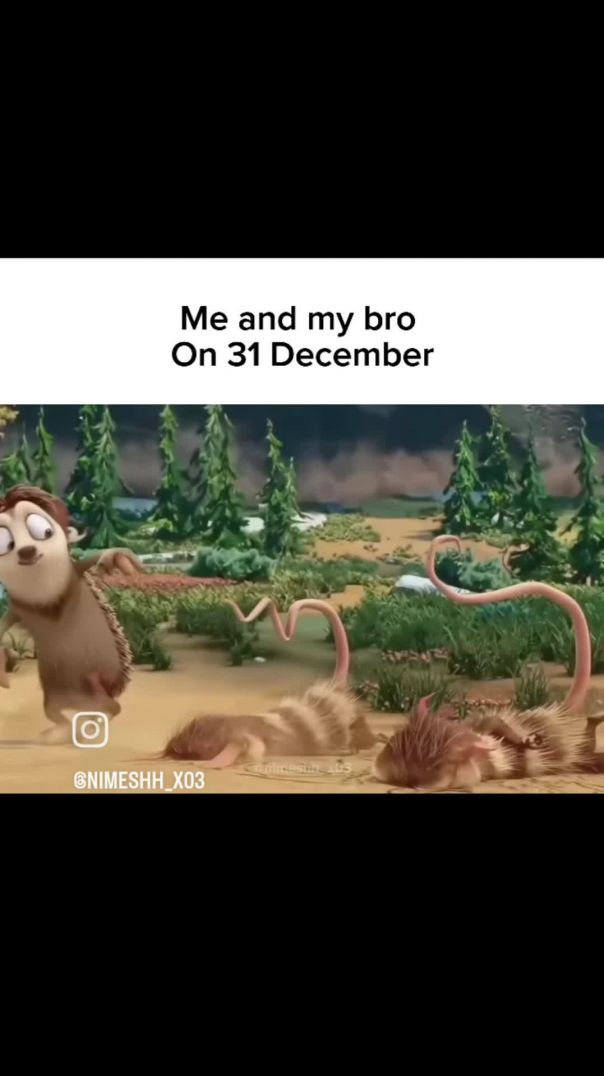 VID_20251229_234446_756