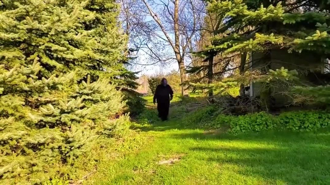 ⁣super Mane Heidi_Zidane १