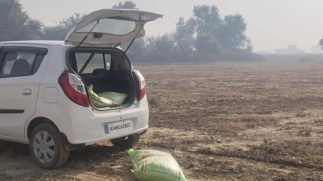 ⁣Aaj_bij_di_kank_🌾💓[4_video_📸]#youtubefeed_#farming(1440p)