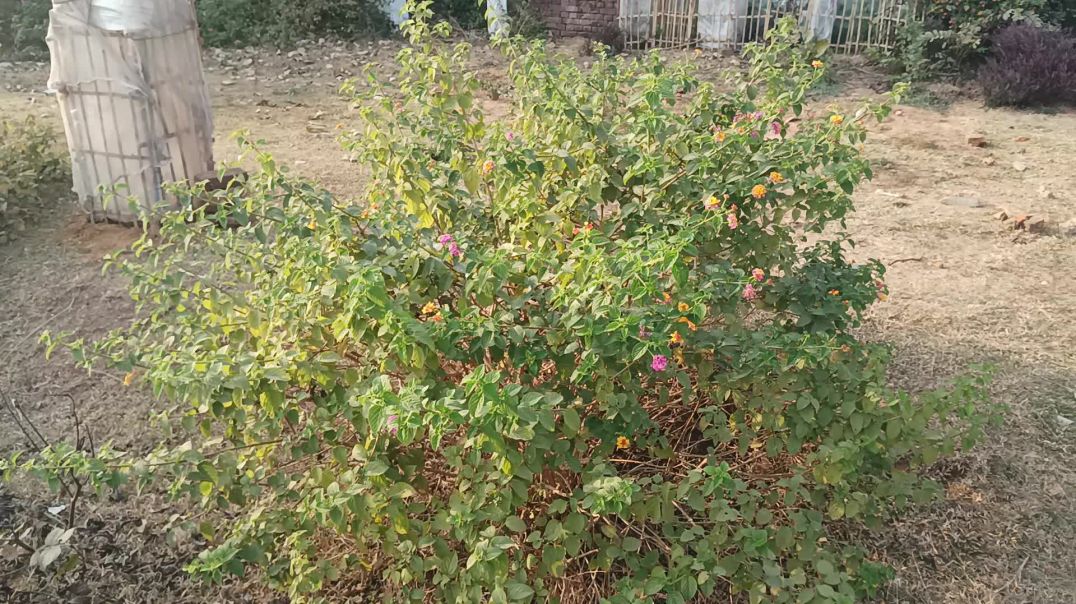 ⁣Kya hashtag lagane se video me Jayda views aata hai 2026