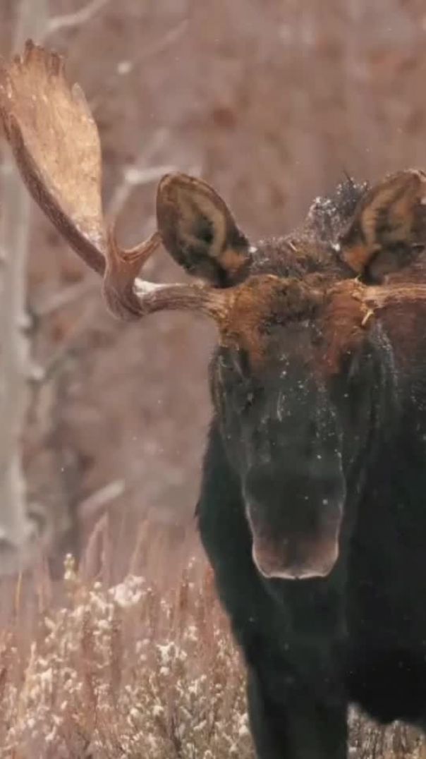 InShot_20260128_141200912