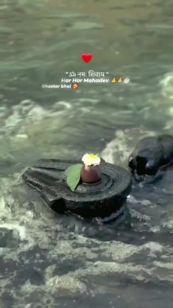 VID_20260118_004618_654