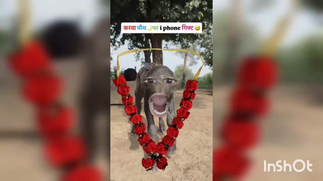 ⁣New-Funny-Video-Trending-Funny-Video-New_4