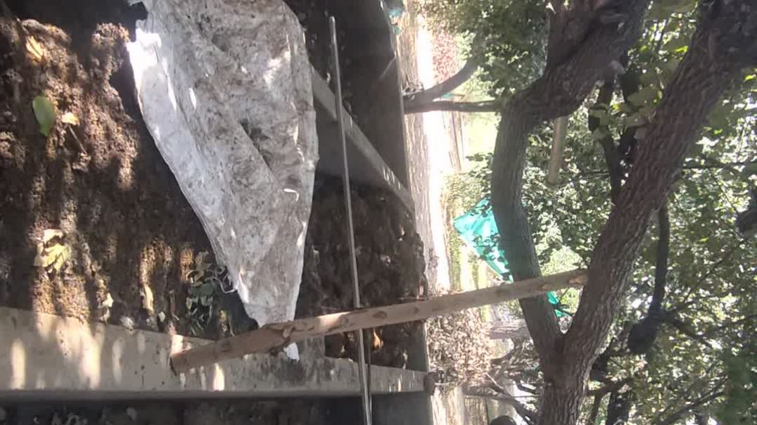 ⁣खेती से कमाई करने वाला किसान