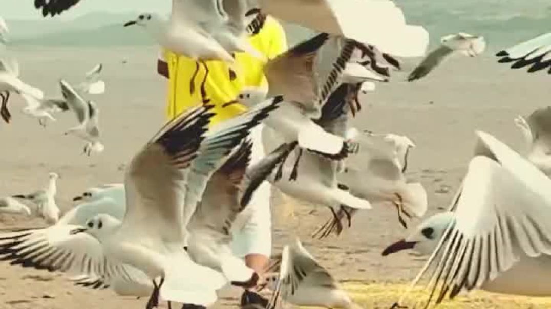 AQMo9b3_H2vZIlFaVfGJldvErNyfNS9Zxb8mbT6elrhNj7NRvdfKldB5eu8YEX4bX5LjPr4nFwzPA5CRGFhLqSlnaasULAIbvsSF